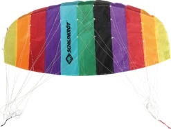 Dual Line Sport Kite 1.3